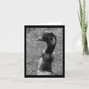 Emu Natature Älskare Black and White Lodrät Sticke Kort