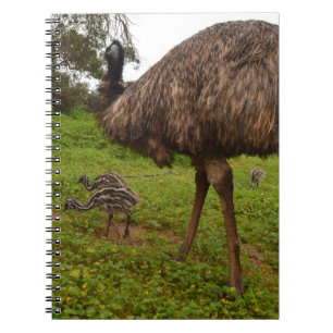 Emu pappa med Chickar, Anteckningsbok