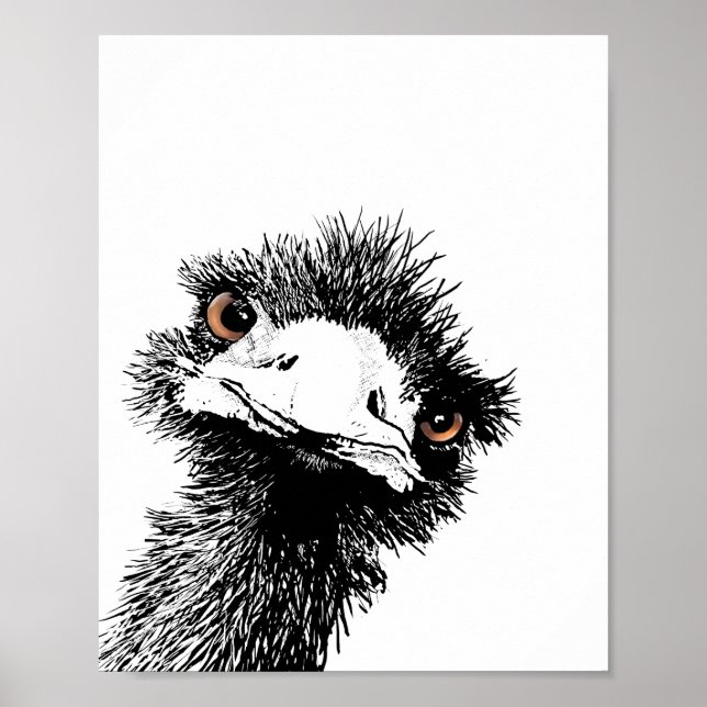 Emu – Penna och bläck Poster (Framsidan)