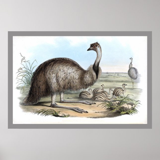 Emu Poster (Framsidan)