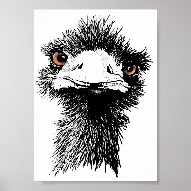 Emu Poster (Framsidan)
