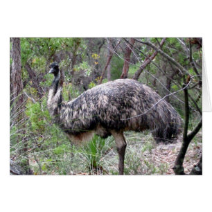 emu-promenad hälsningskort