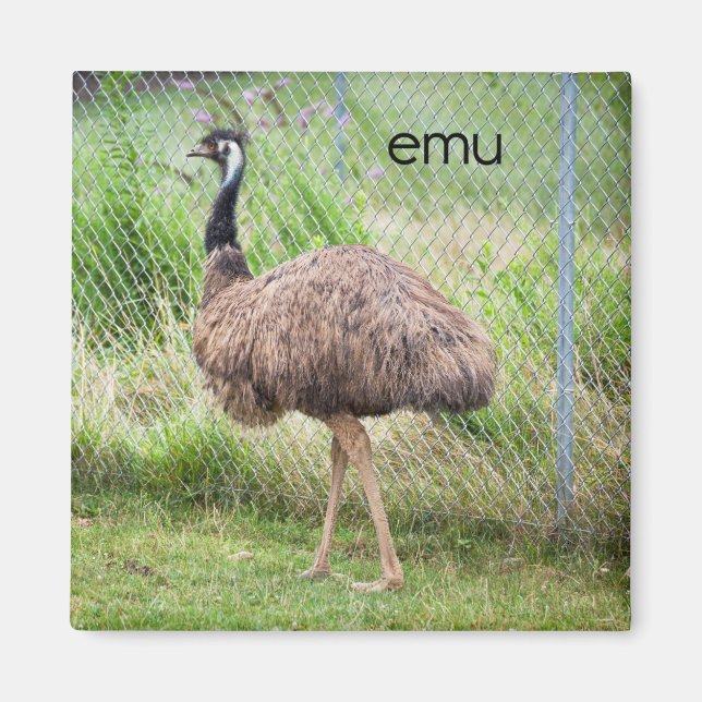 Emu Refrigerator Magnet (Framsidan)