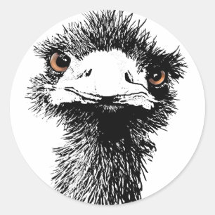 Emu Runt Klistermärke