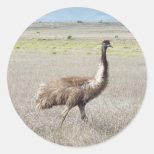 emu stride runt klistermärke
