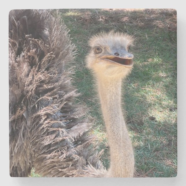 Emu underlägg (Framsidan)