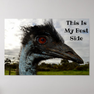 Emu visar sin bästa sida, poster