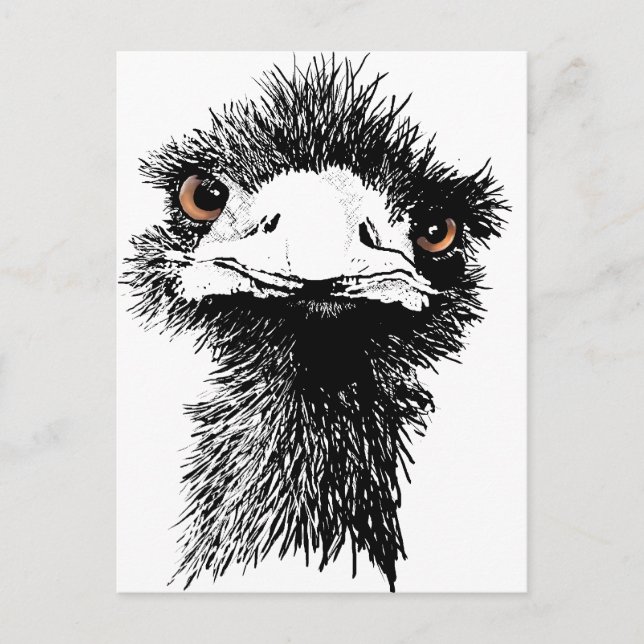 Emu Vykort (Framsida)