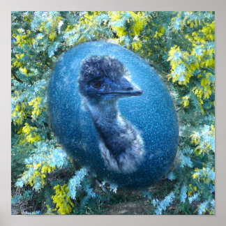 Emu Wildlife Poster