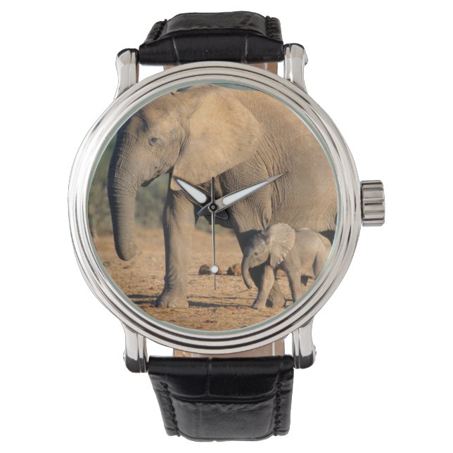 En afrikansk elefant mor och kalv i rörelse armbandsur (Framsida)