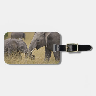 En afrikansk elefant som betar på fälten bagagebricka
