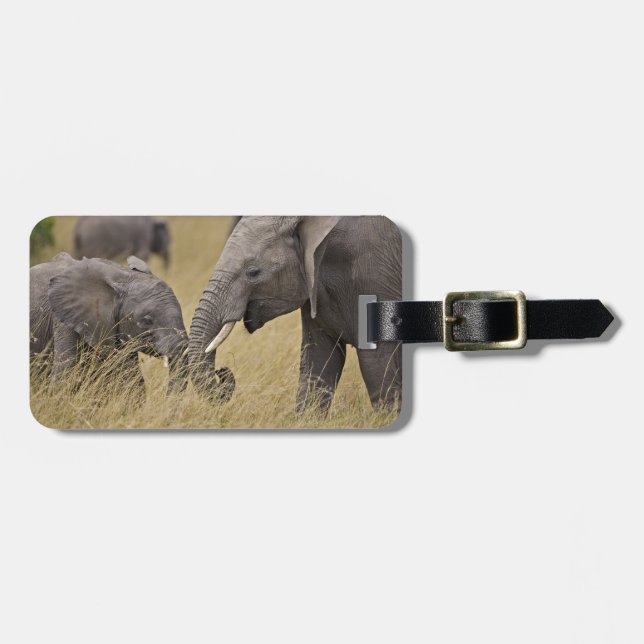 En afrikansk elefant som betar på fälten bagagebricka (Horisontell Framsida)