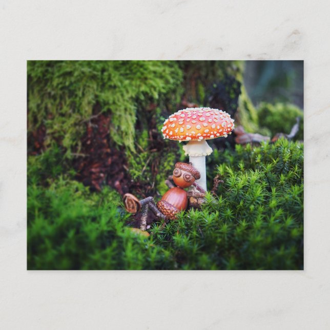 En aknelv vilar under ett svamp vykort (Framsida)