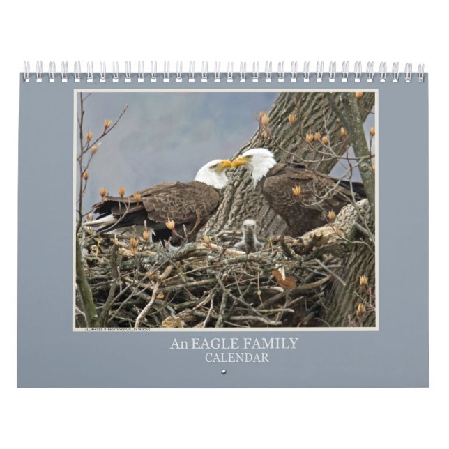 En ålders familj kalender (Omslag)