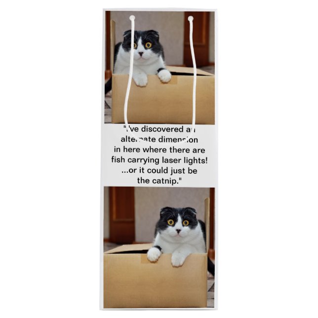 En alternativ dimension (Framsidan)