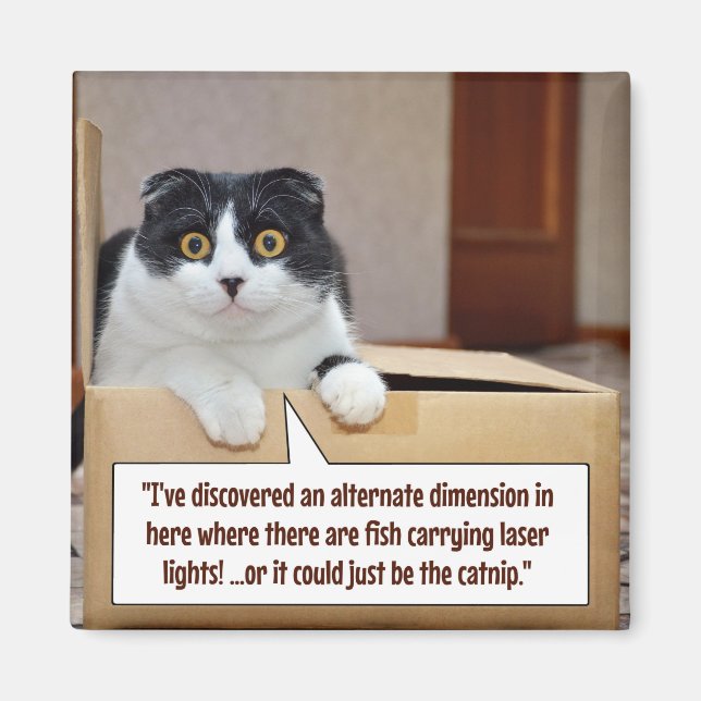 En alternativ dimension magnet (Framsidan)