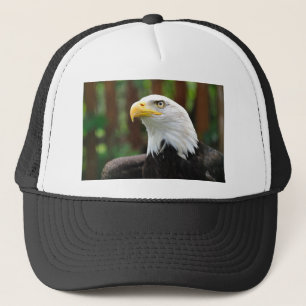 En amerikanpatriotUnited States örn avbildar Keps