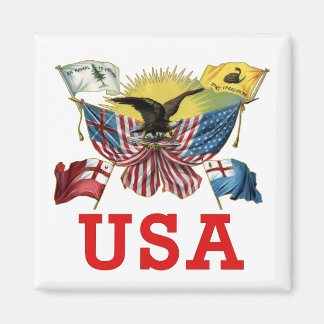 En amerikansk Flaggor historia på en Tshirt Magnet