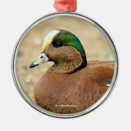 En amerikansk Wigeon på Beach Julgransprydnad Metall