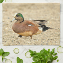 En amerikansk Wigeon på Beach Kökshandduk