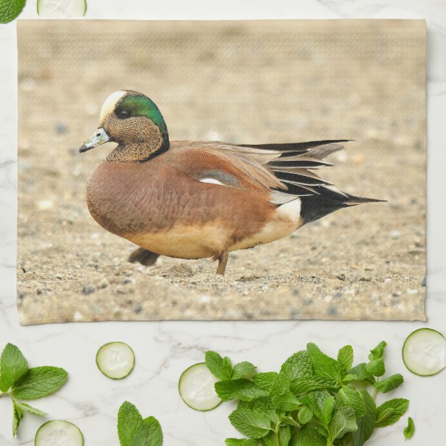 En amerikansk Wigeon på Beach Kökshandduk (Vikta)