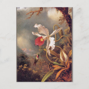 En Amethyst Hummingbird med vit Orchid Vykort