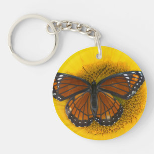 En amiral Limenitis Archippus