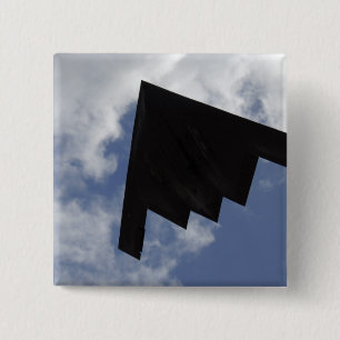 En ande B-2 i flyg Knapp