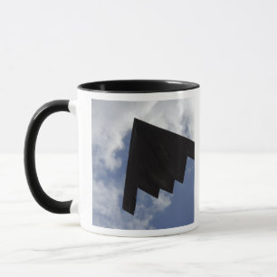 En ande B-2 i flyg Mugg