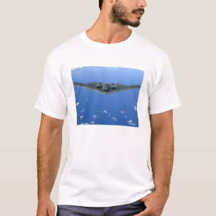 En ande B-2 soars till och med himmlen T-shirt