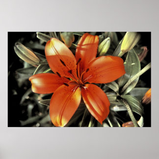 En annan orange poster