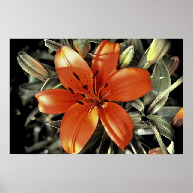 En annan orange poster (Framsidan)