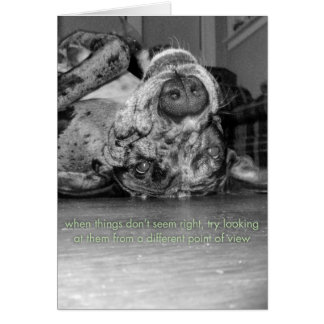 En annan synvinkel OBS kort