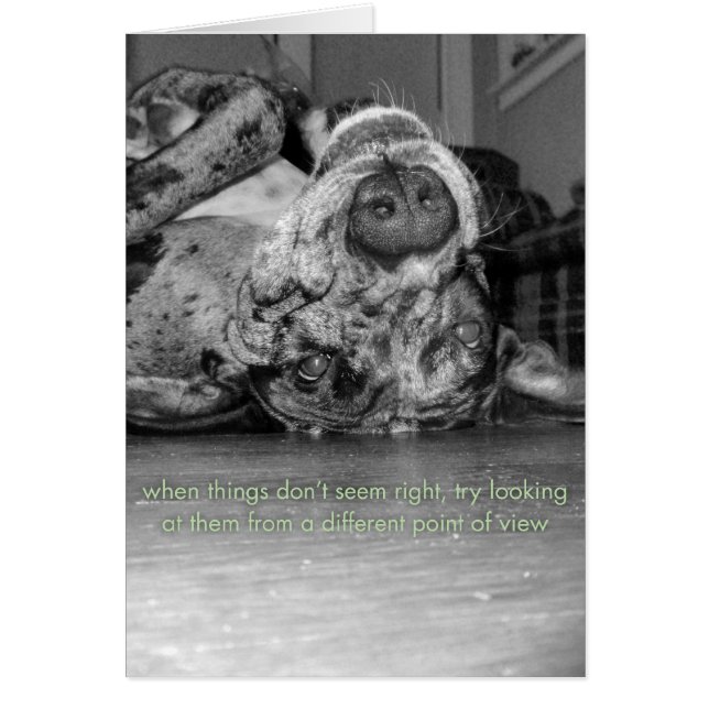 En annan synvinkel OBS kort (Framsidan)