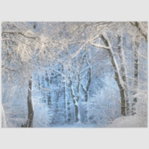 en annan vinter under