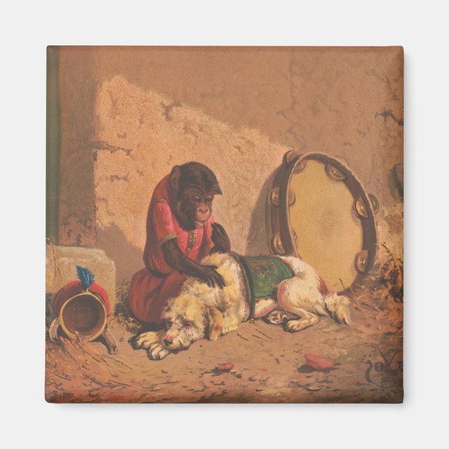 En apa och en Hund med en stor Tambourine Magnet (Framsidan)