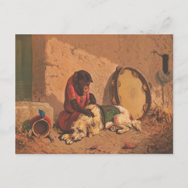 En apa och en hund med en stor tamburin vykort (Framsida)