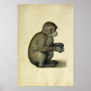 En apa poster