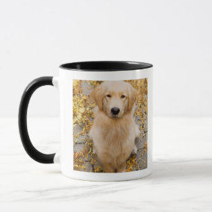 En årig guld- Retriever, porträtt Mugg