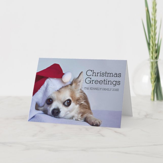 En årig lång chihuahua för hår 6 helgkort (Framsida)