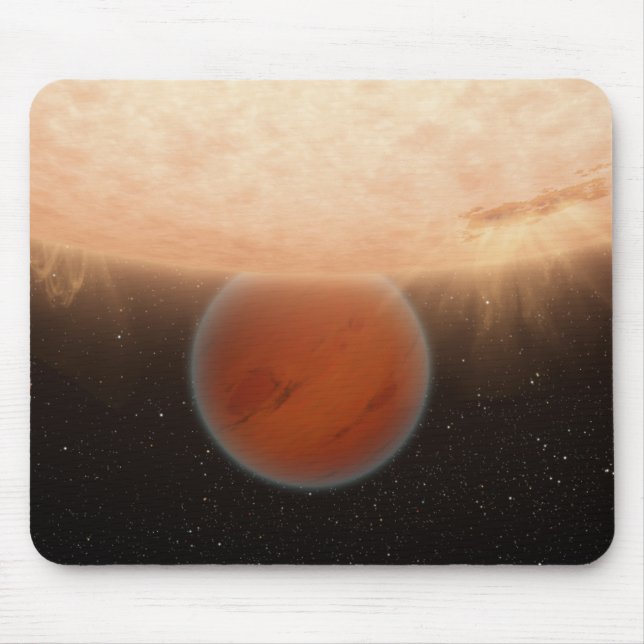 En artistis koncept musmatta (Framsidan)