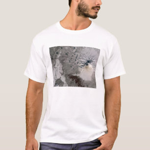 En askarik putsar löneförhöjningar t-shirt