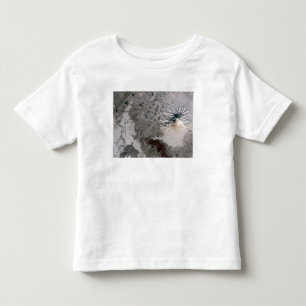 En askarik putsar löneförhöjningar t shirt