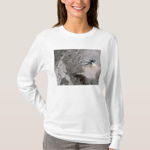 En askarik putsar löneförhöjningar tee shirt