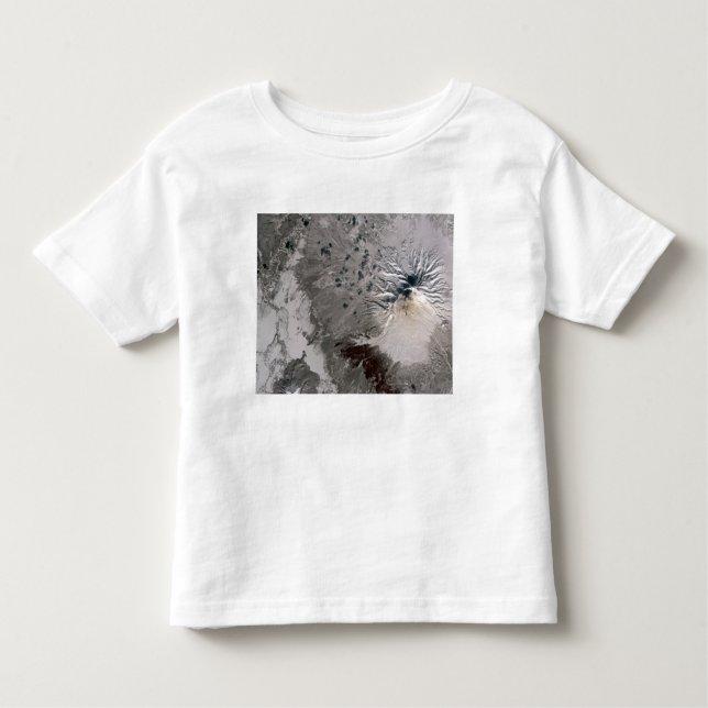 En askmassa ökar i riken t shirt (Framsida)