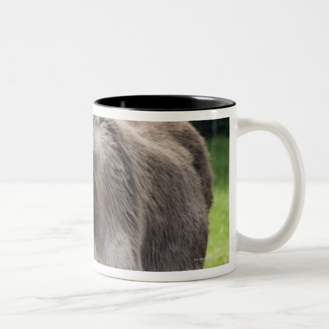 En åsna Två-Tonad mugg (Höger)