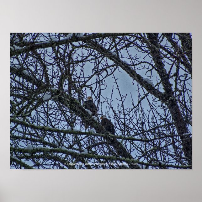 En assistent till Winter Poster (Framsidan)