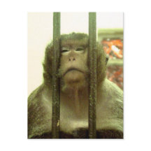 En av de där dagarna...