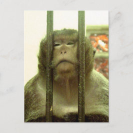 En av de där dagarna... vykort