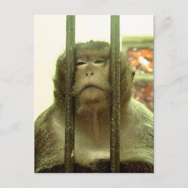 En av de där dagarna... vykort (Framsida)